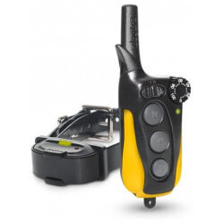 Collier iQ MINI - DOGTRA